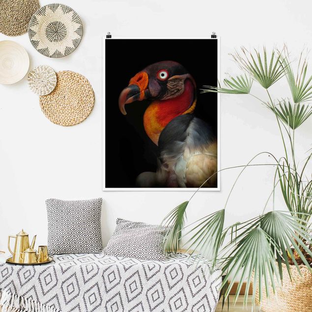 Contemporary art prints King Vulture In Front Of Black