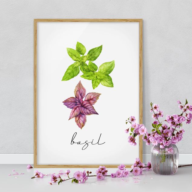 Kitchen Herbs Illustration Basil