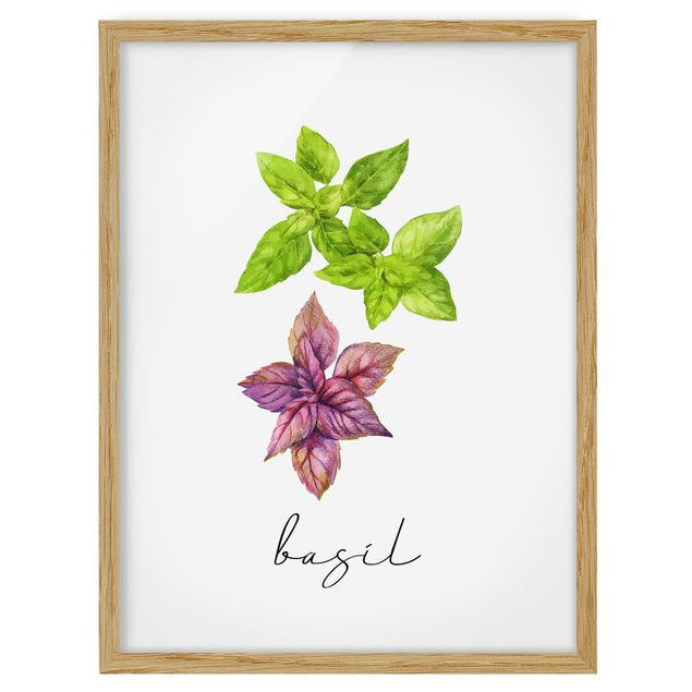 Flowers framed Herbs Illustration Basil