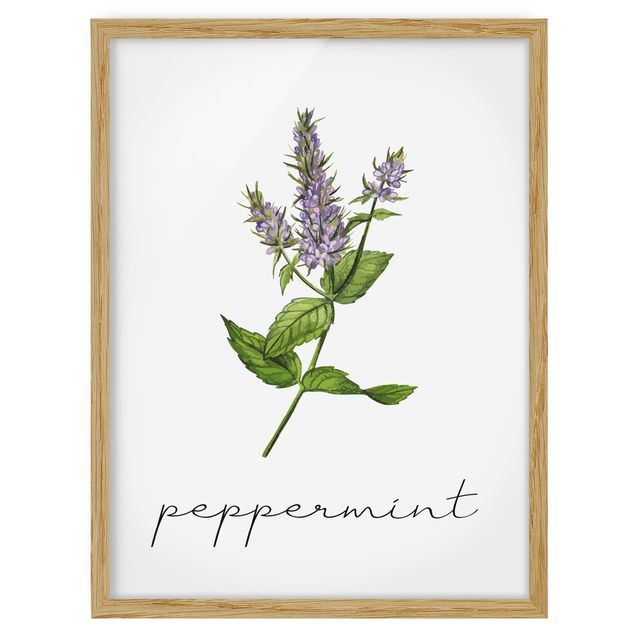Flowers framed Herbs Illustration Pepper Mint