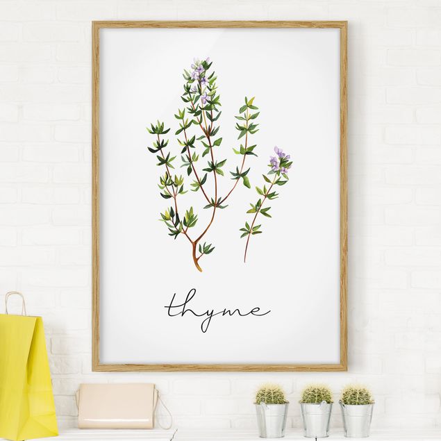 Kitchen Herbs Illustration Thyme