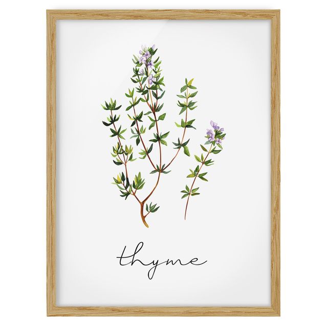 Flowers framed Herbs Illustration Thyme