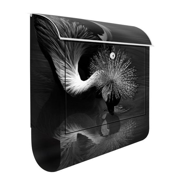 Letterboxes black and white Crowned Crane Bow Black And White