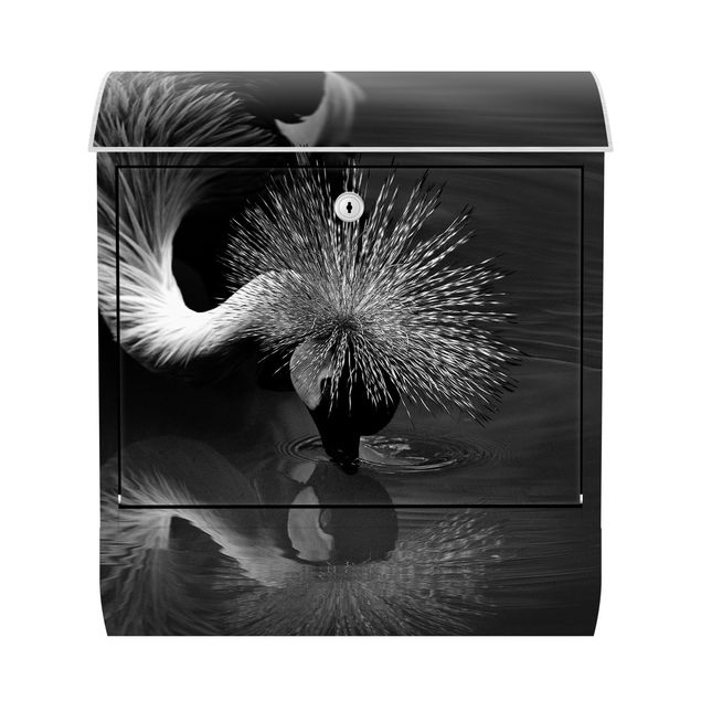 Letterboxes animals Crowned Crane Bow Black And White