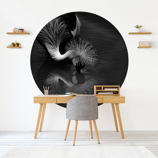 Wallpapers birds Crowned Crane Bow Black And White