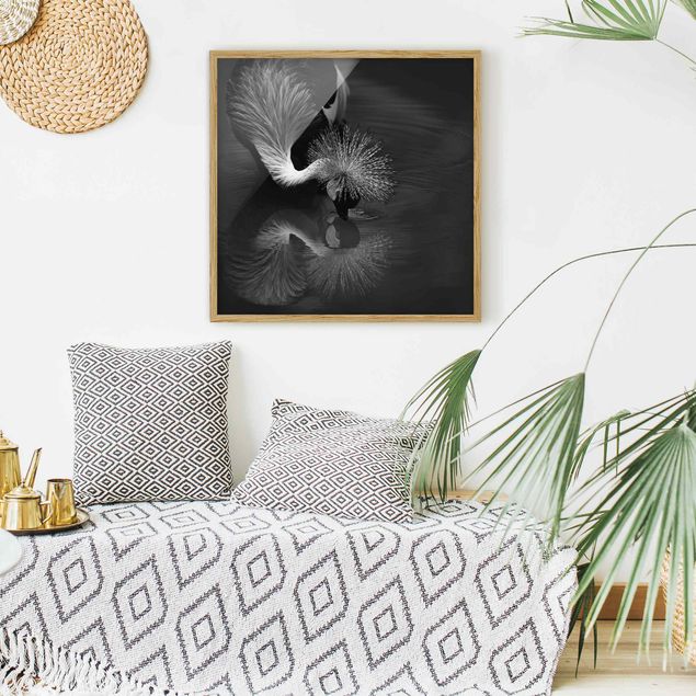 Animal wall art Crowned Crane Bow Black And White
