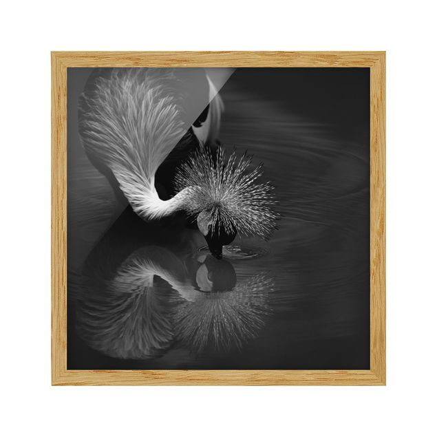 Contemporary art prints Crowned Crane Bow Black And White