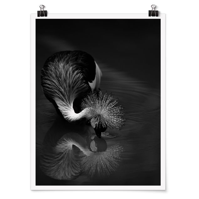 Prints modern Crowned Crane Bow Black And White