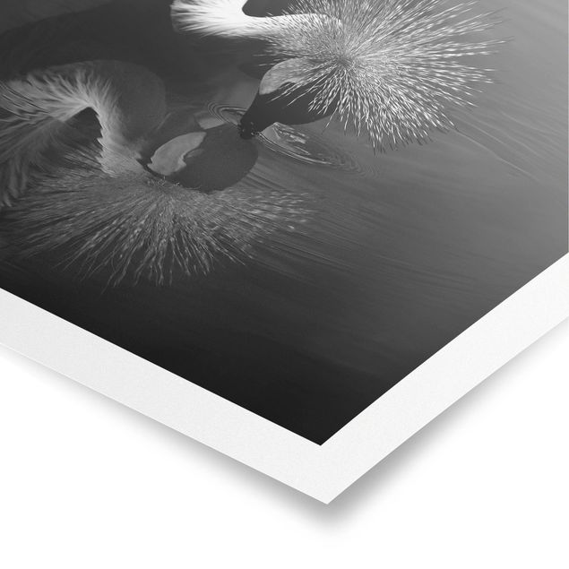 Black and white wall art Crowned Crane Bow Black And White