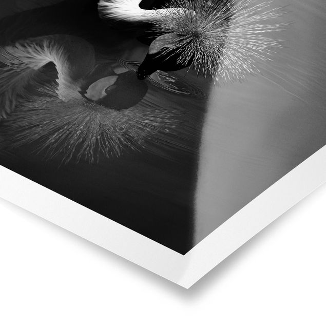 Prints Crowned Crane Bow Black And White