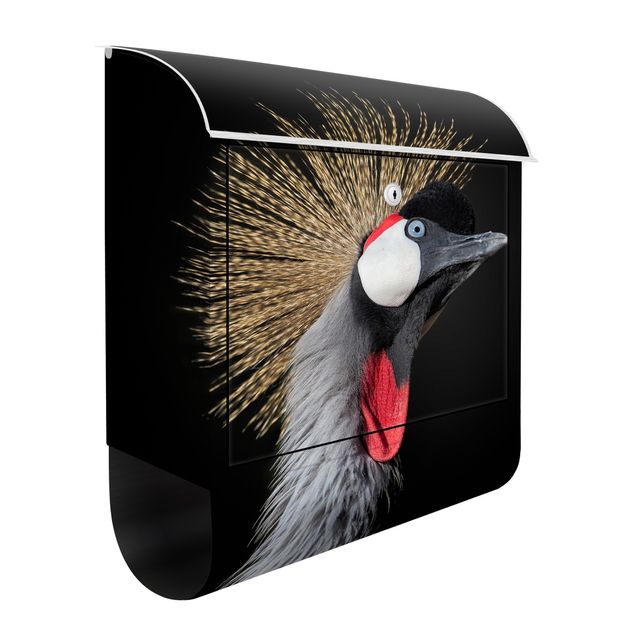 Letterboxes animals Crowned Crane In Front Of Black