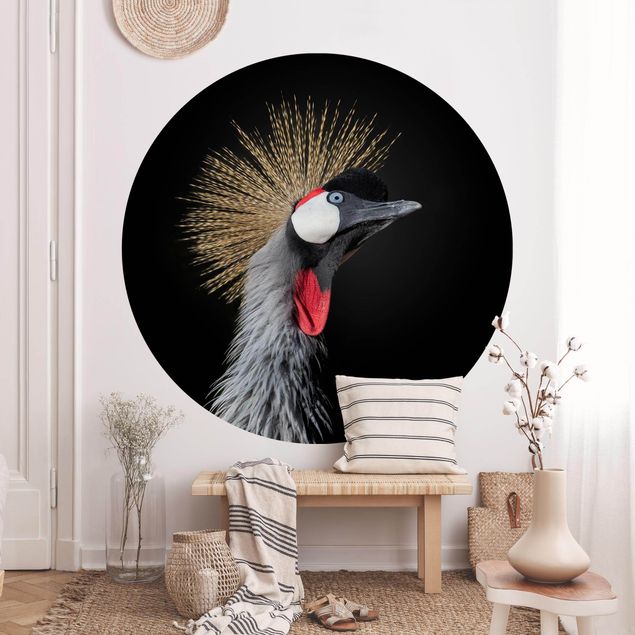 Kitchen Crowned Crane In Front Of Black