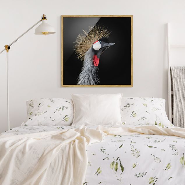 Animal wall art Crowned Crane In Front Of Black