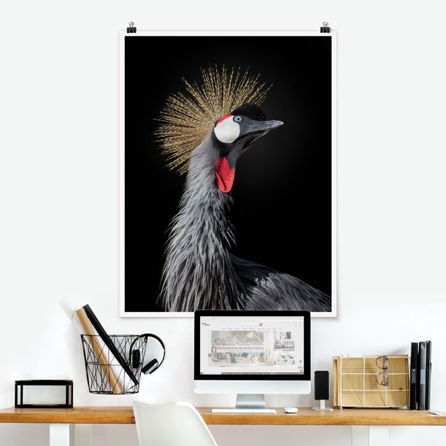 Kitchen Crowned Crane In Front Of Black