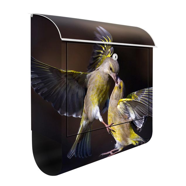 Letterboxes animals Kissing Hummingbirds