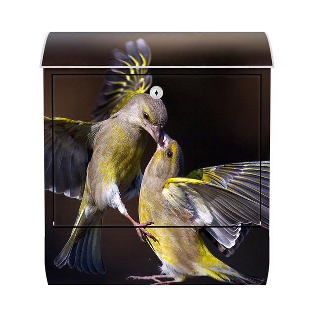 Letterboxes yellow Kissing Hummingbirds
