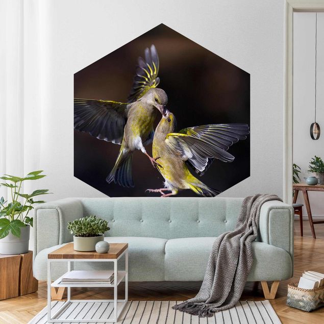 Modern wallpaper designs Kissing Hummingbirds