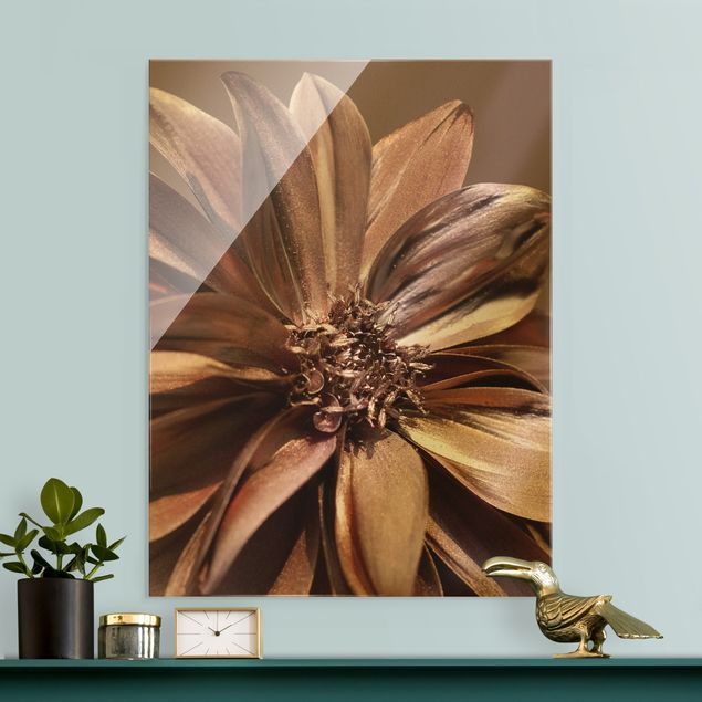 Glass prints flower Copper Golden Dahlia Dream