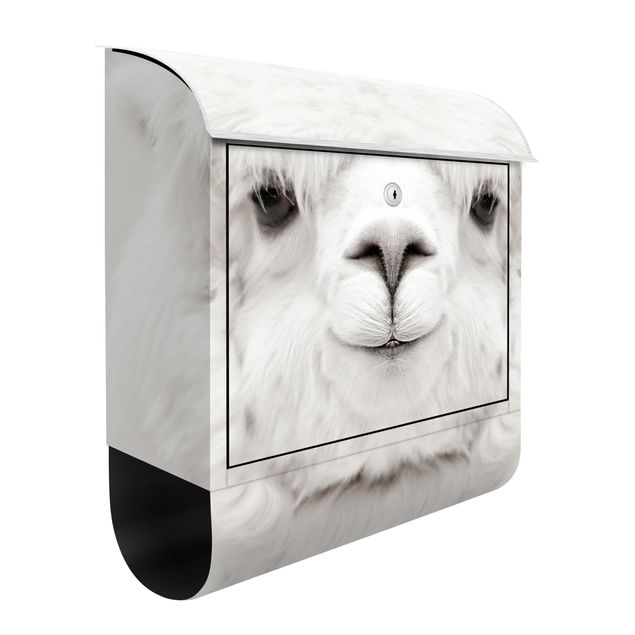 Letterboxes animals Smiling Alpaca