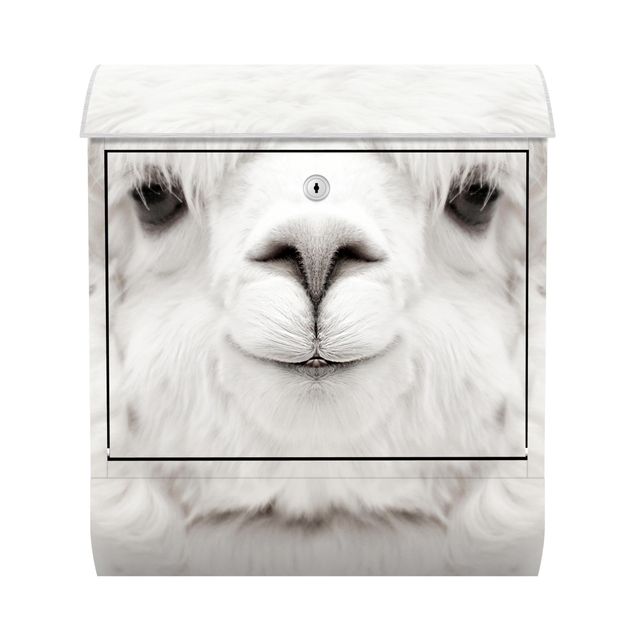 Letterboxes white Smiling Alpaca