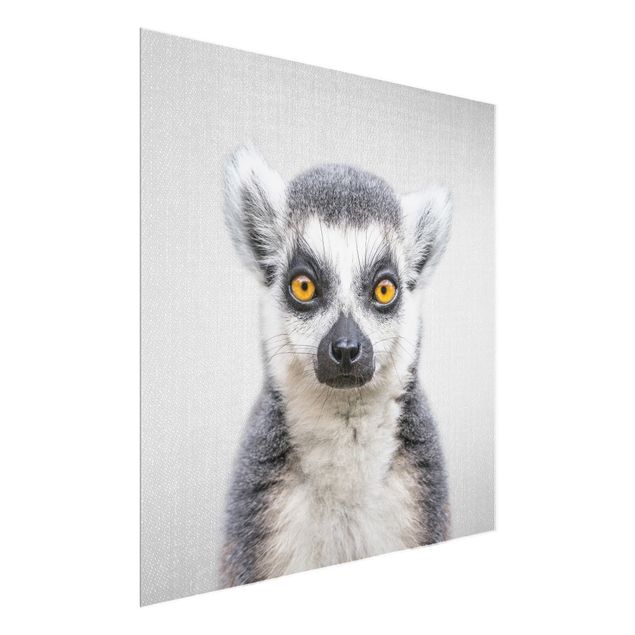 Glass prints pieces Lemur Ludwig
