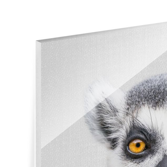Gal Design Lemur Ludwig