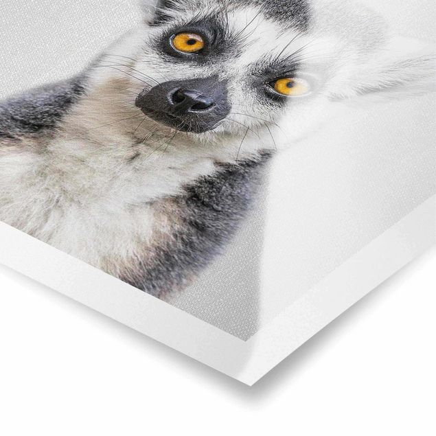 Black and white art Lemur Ludwig