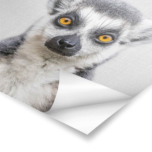 Gal Design art Lemur Ludwig