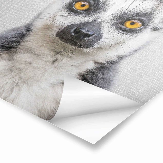 Gal Design art Lemur Ludwig