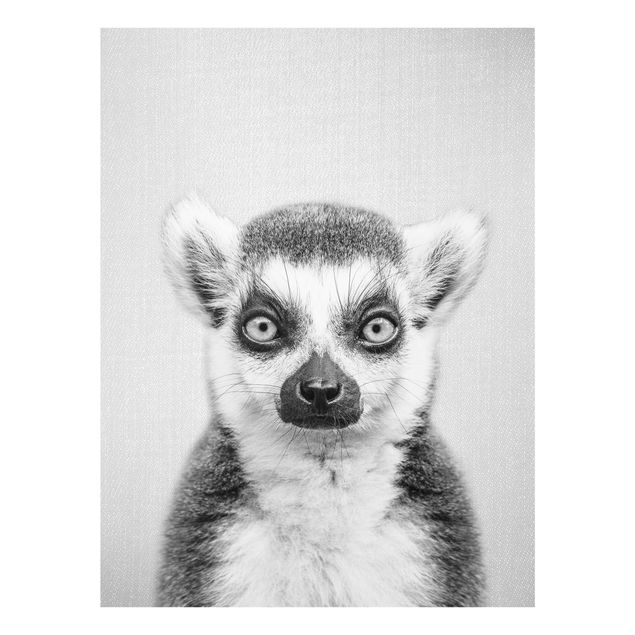 Prints animals Lemur Ludwig Black And White