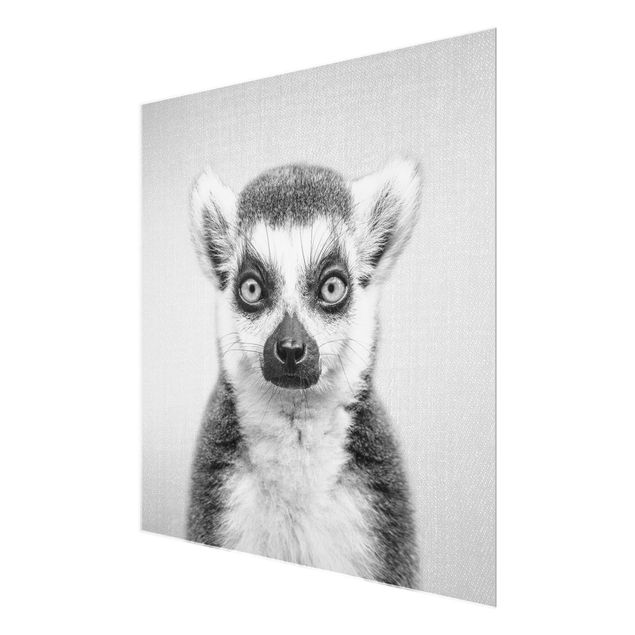 Prints black and white Lemur Ludwig Black And White