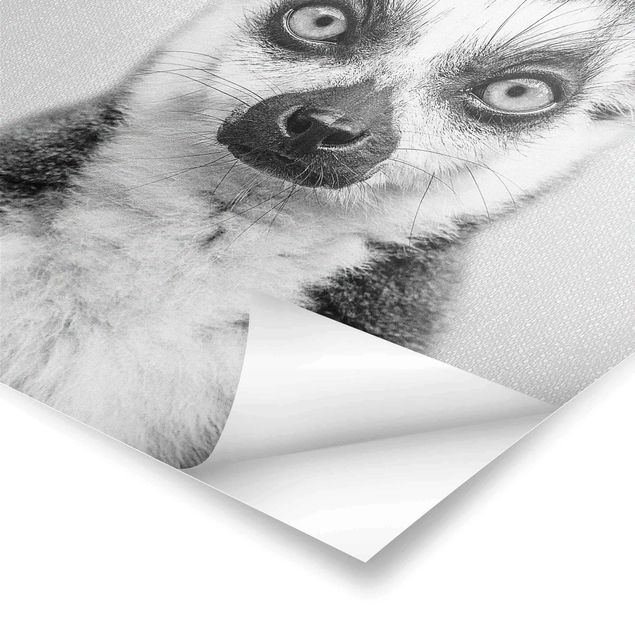 Gal Design Lemur Ludwig Black And White