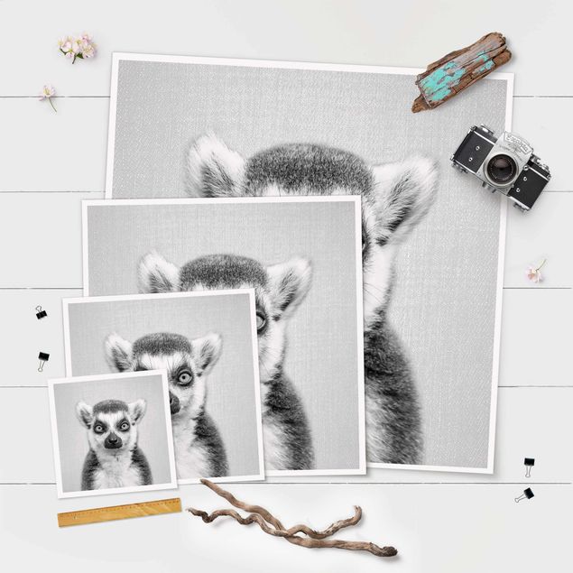 Prints Lemur Ludwig Black And White