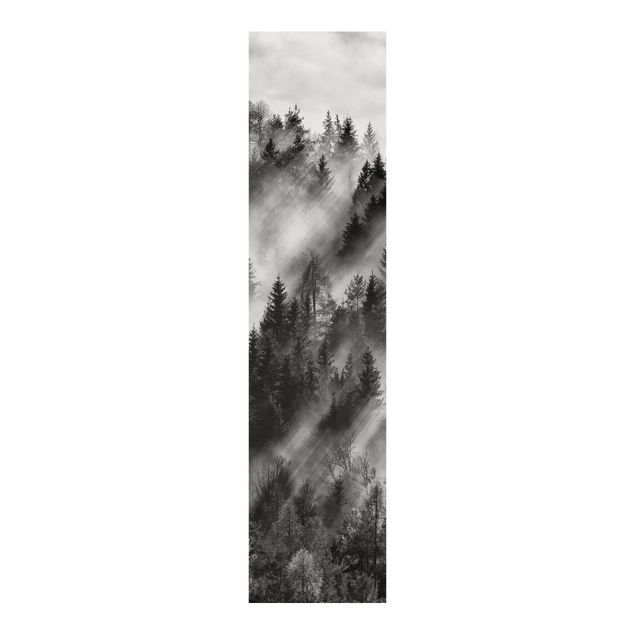 Sliding panel curtains landscape Light Rays In The Coniferous Forest