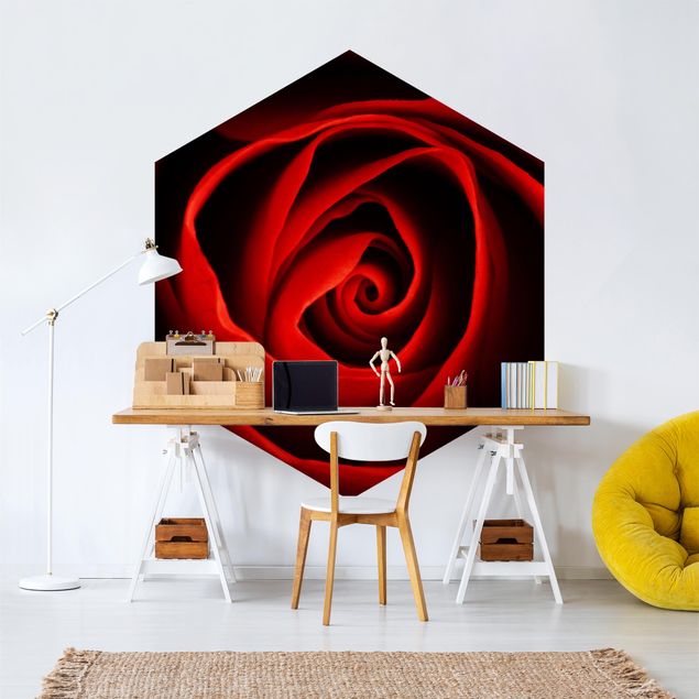 Contemporary wallpaper Lovely Rose