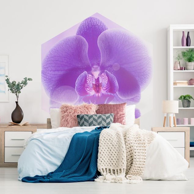 Wallpapers flower Purple Orchid On Water
