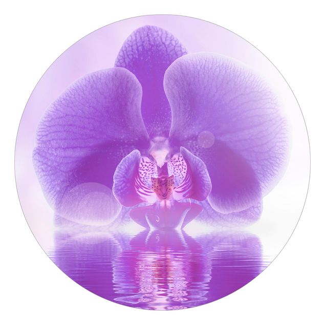 Contemporary wallpaper Purple Orchid On Water