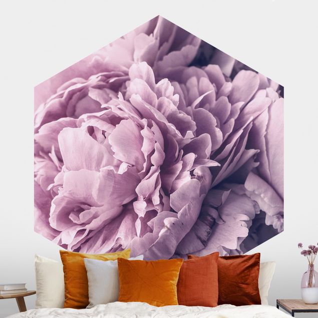 Rose flower wallpaper Purple Peony Blossoms