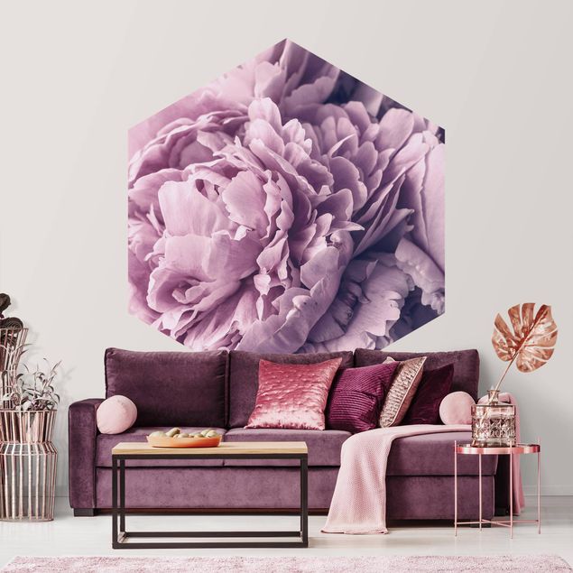 Wallpapers flower Purple Peony Blossoms