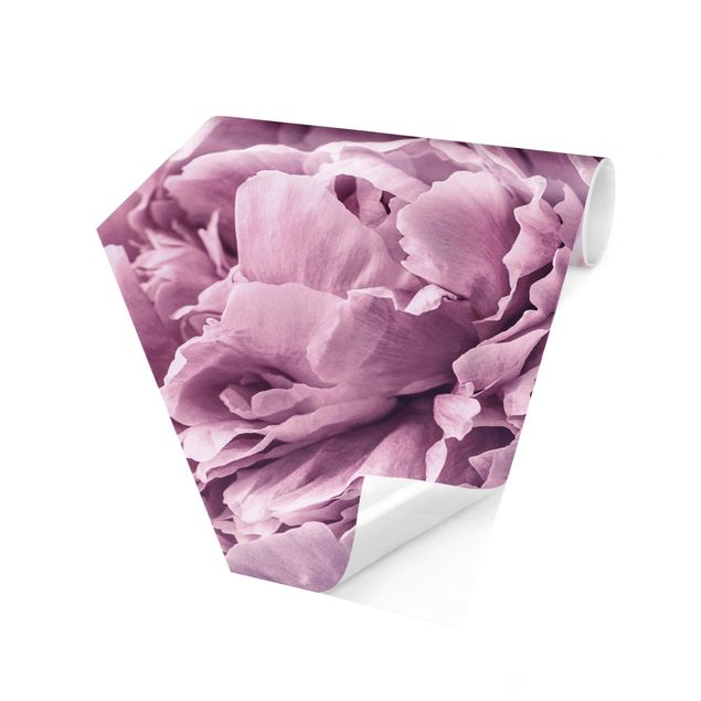 Modern wallpaper designs Purple Peony Blossoms