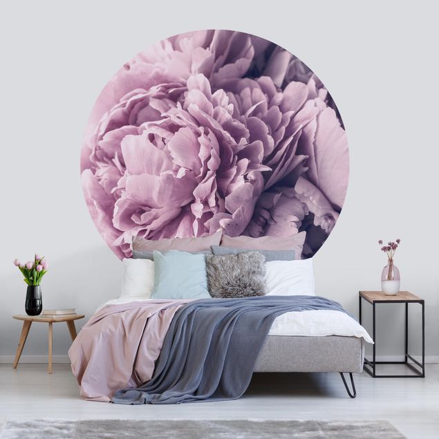 Wallpapers rose Purple Peony Blossoms