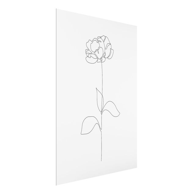 Framed portrait prints Line Art Flowers - Peony