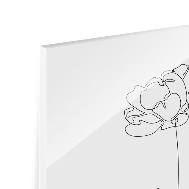 Magnettafel Glas Line Art Flowers - Peony