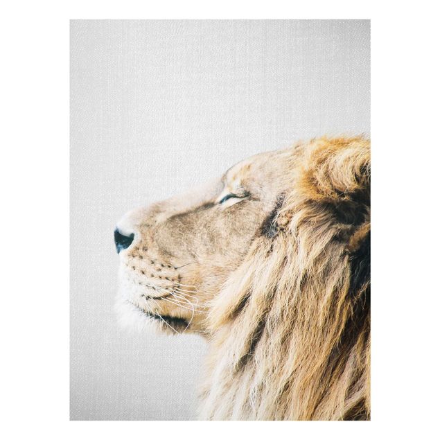 Prints animals Lion Leopold