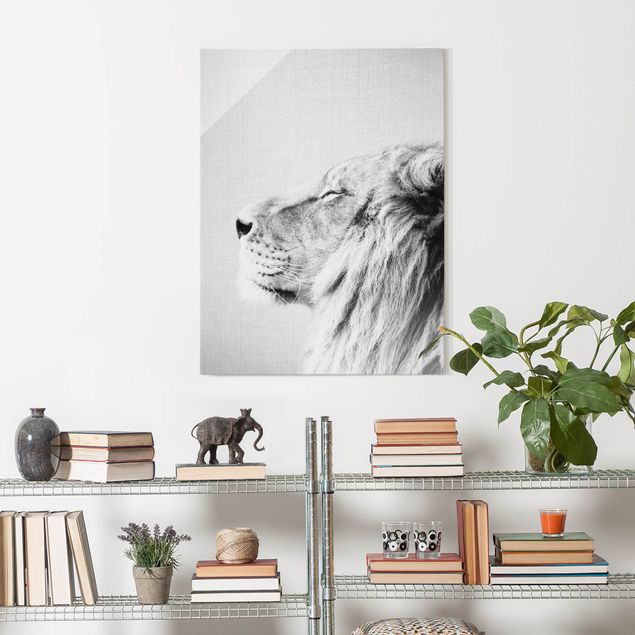 Glass prints black and white Lion Leopold Black And White