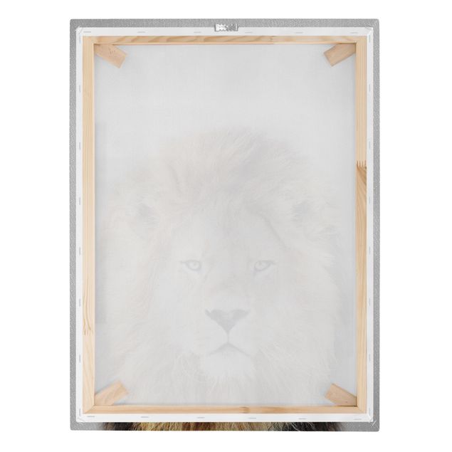 Modern art prints Lion Linus