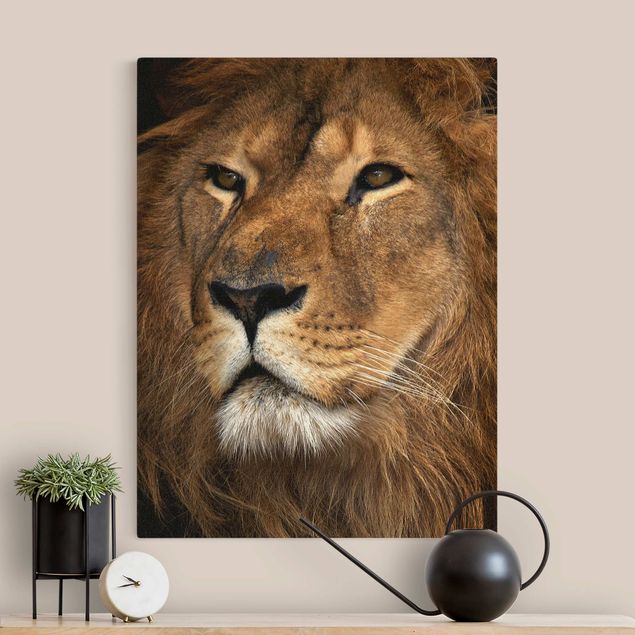 Canvas lion A Lion's Gaze