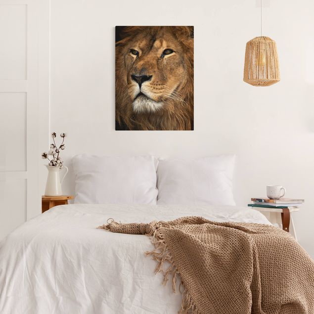 Cat canvas A Lion's Gaze
