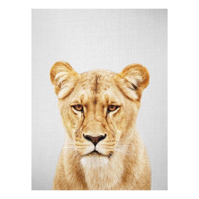 Prints animals Lioness Lisa