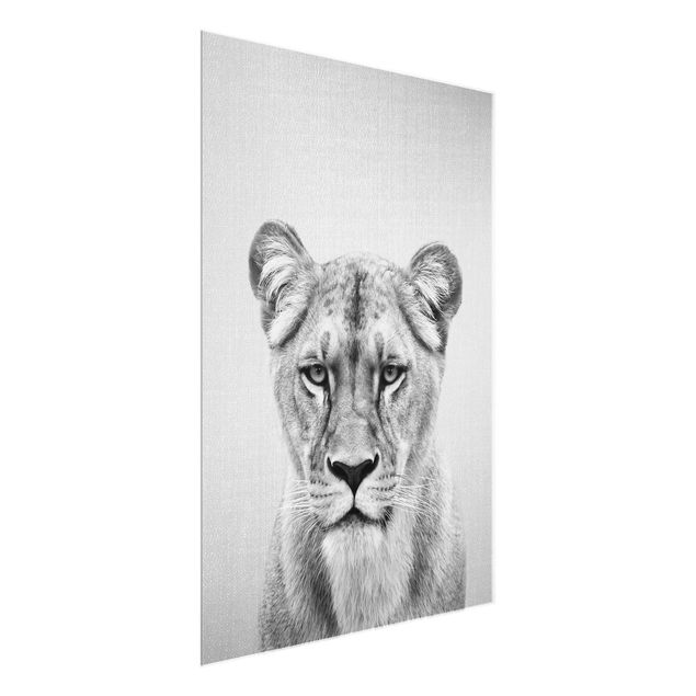 Glass prints pieces Lioness Lisa Black And White